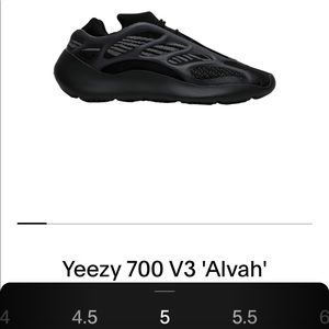 Yeezy 700 V3 Alvah